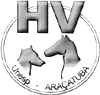 Logotipo do Hospital Veterinário da FO-Araçatuba