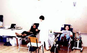 Doação de sangue na FCAV